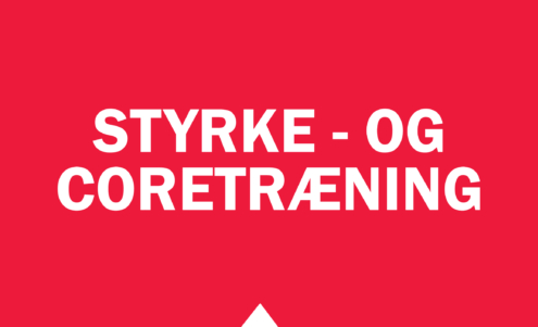 Styrke - og coretræning